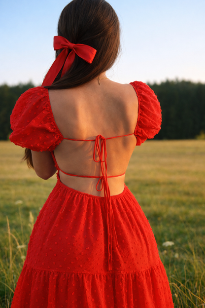 Whispering Meadow Dobby Dress